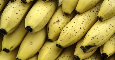 Banany - właściwości lecznicze i zdrowotne