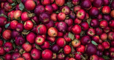 Jabłka-właściwości-lecznicze-zdrowotne